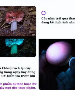 den-soi-tien-gia (3)